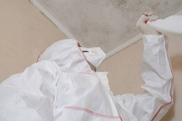 Best Mold Cleaning Services  in Lanett, AL